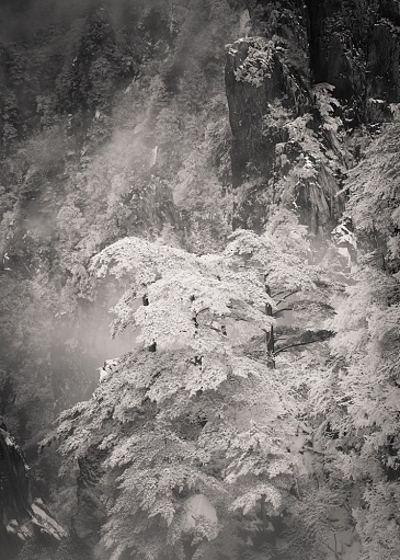 Huangshan_5_84_60_WEL9852-Bearbeitet