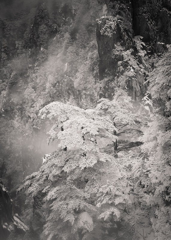 Huangshan_5_84_60_WEL9852-Bearbeitet