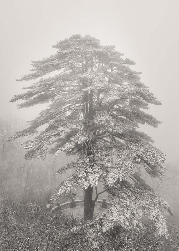 huangshan_9576